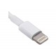 کابل شارژ لایتنینگ اورجینال آیفون Apple Original Lightning to USB Cable 1m