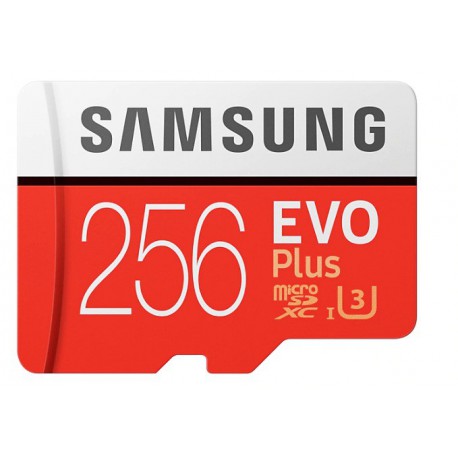 رم میکرو 256گیگ سامسونگ Evo Plus